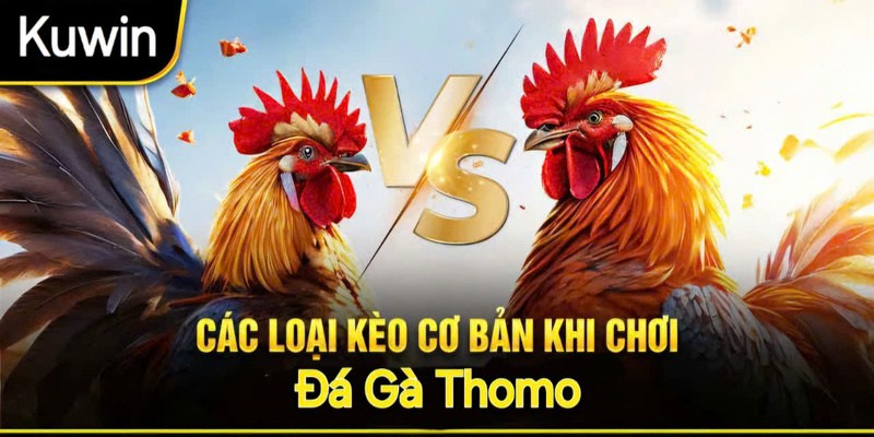 Giới thiệu vài kèo cơ bản