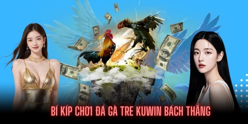 Kinh nghiệm chơi đá gà tre luôn thắng tại Kuwin