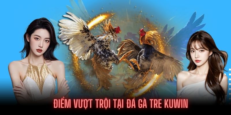 Ưu điểm mà Sảnh đá gà tre được đa số khách hàng yêu thích